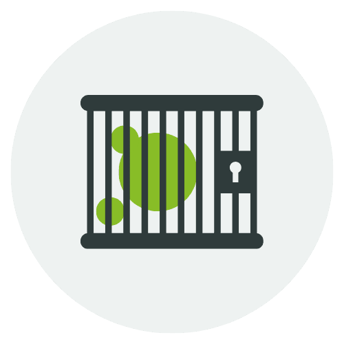 Cyberaudit logo